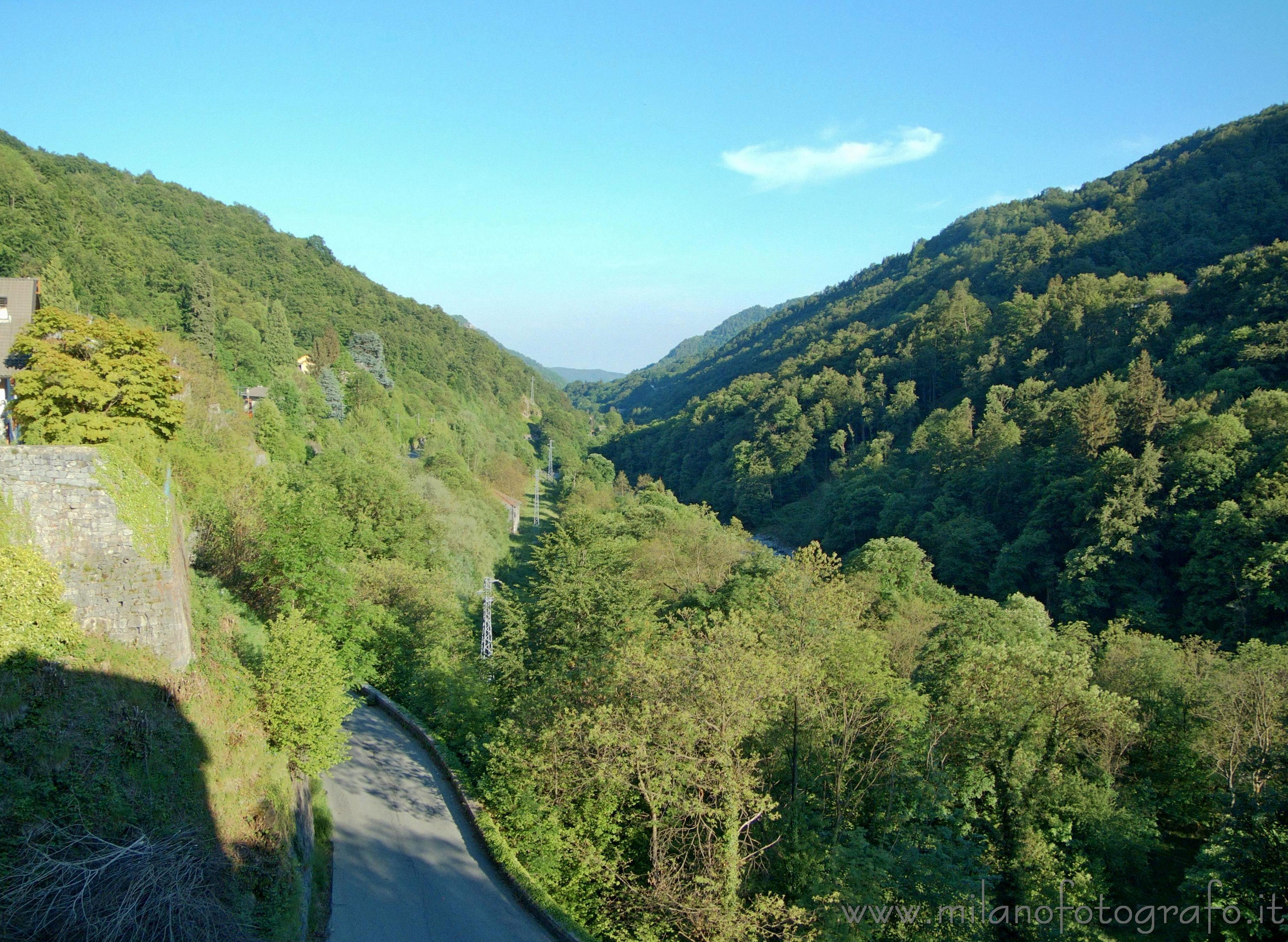 Valmosca fraction of Campiglia Cervo (Biella, Italy) - Spring woods in the Cervo valley